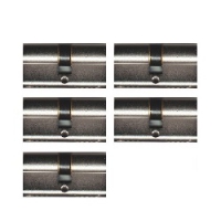5 gelijksluitende cilinders 30/30